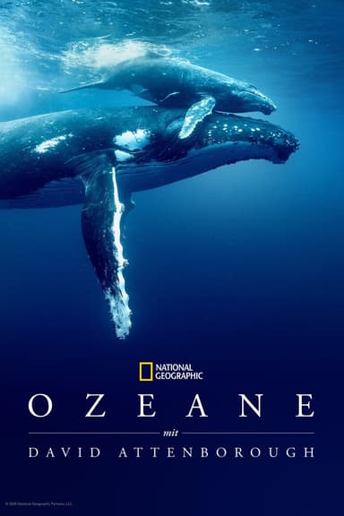 Ozean mit David Attenborough Poster